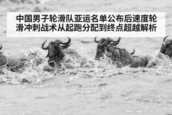 中国男子轮滑队亚运名单公布后速度轮滑冲刺战术从起跑分配到终点超越解析
