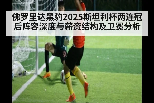 佛罗里达黑豹2025斯坦利杯两连冠后阵容深度与薪资结构及卫冕分析